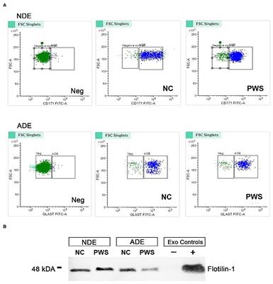 Plasma Levels of Neuron- and Astrocyte-Derived Exosomal Amyloid Beta1-42, Amyloid Beta1-40, and Phosphorylated Tau Levels in Schizophrenia Patients and Non-psychiatric Comparison Subjects: Relationships With Cognitive Functioning and Psychopathology